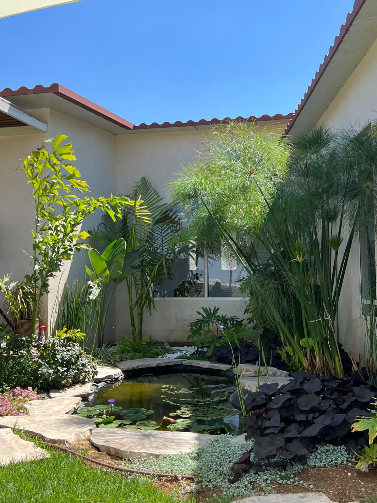 גינה פרטי, מושב גבעת ישעיהו